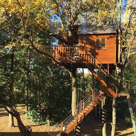 La Cabane Aux Zoiseaux Apartment Vierzon Exterior photo