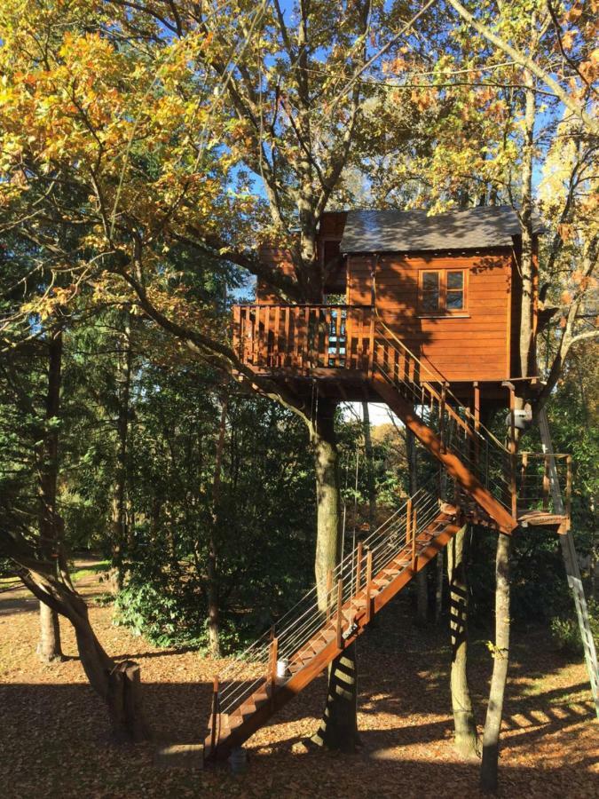 La Cabane Aux Zoiseaux Apartment Vierzon Exterior photo