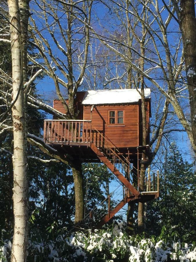 La Cabane Aux Zoiseaux Apartment Vierzon Exterior photo
